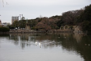 hyougo 114