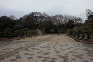 hyougo 116