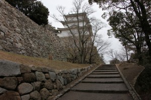 hyougo 121