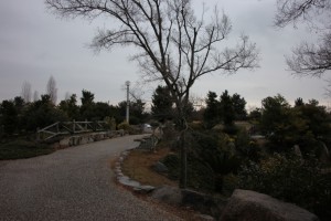 hyougo 170
