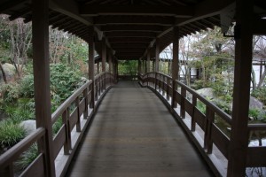 hyougo 027
