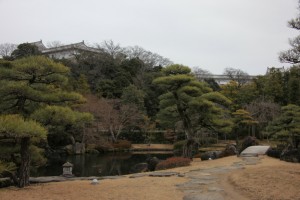 hyougo 036