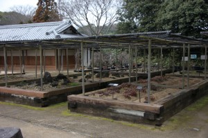 hyougo 037