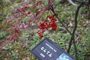 hyougo 039