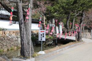kyoto amano takeda 084