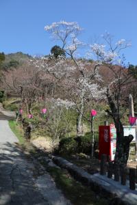 kyoto amano takeda 086