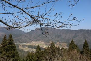 kyoto amano takeda 116