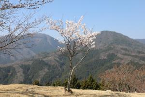 kyoto amano takeda 122