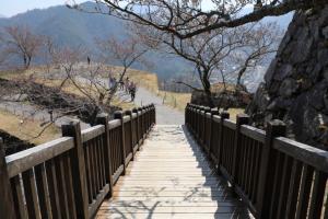 kyoto amano takeda 123