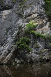 ichinoseki 093