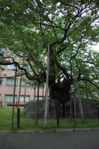 ichinoseki 168