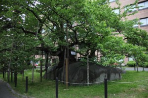 ichinoseki 169