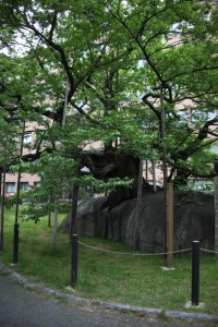 ichinoseki 171