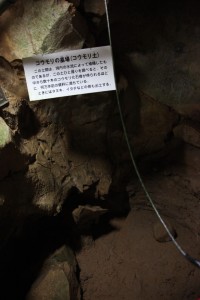 ichinoseki 071
