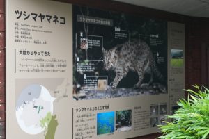 inokashira 018