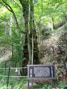 ishiwari 009