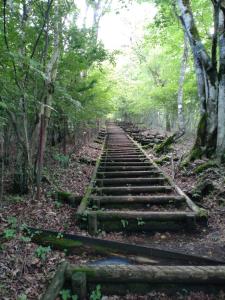 ishiwari 024
