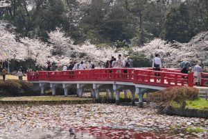 岩槻城址公園２０２６（１／２）