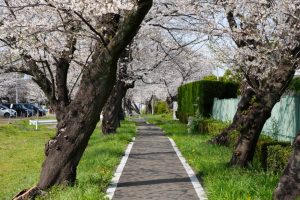 岩槻城址公園２０２６（２／２）