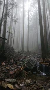 izugatake 014