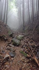 izugatake 016
