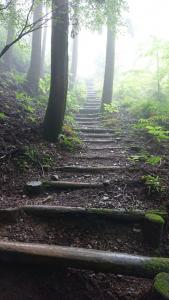 izugatake 018