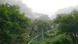 izugatake 019