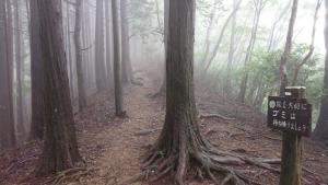 izugatake 022