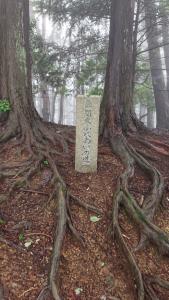 izugatake 023