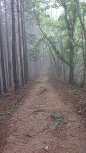 izugatake 025