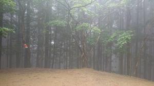 izugatake 038
