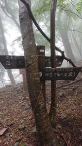 izugatake 042