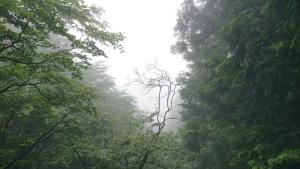 izugatake 044