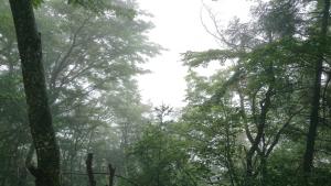 izugatake 045
