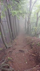 izugatake 054