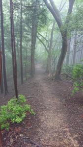 izugatake 063