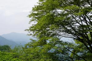 izugatake 089