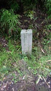 izugatake 100