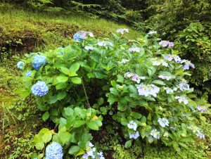 izugatake 006