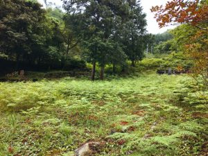 izugatake 008
