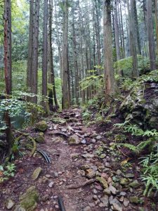 izugatake 013