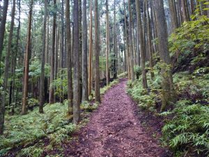 izugatake 015