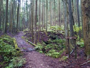 izugatake 016
