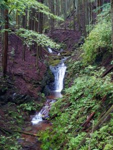 izugatake 017