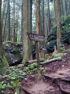 izugatake 018