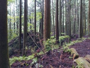 izugatake 019