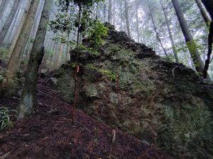 izugatake 021