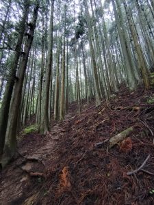 izugatake 022