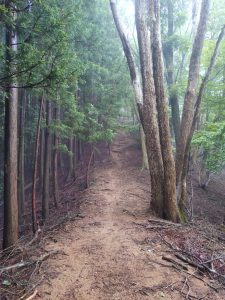 izugatake 027