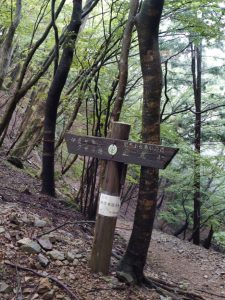 izugatake 037